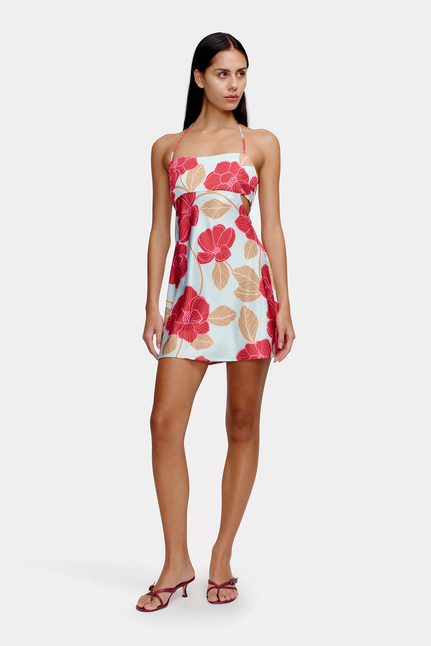 Dayna Mini Dress Primrose Sky – OWNLEY ONLINE